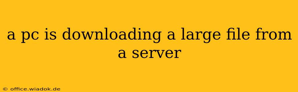 a pc is downloading a large file from a server