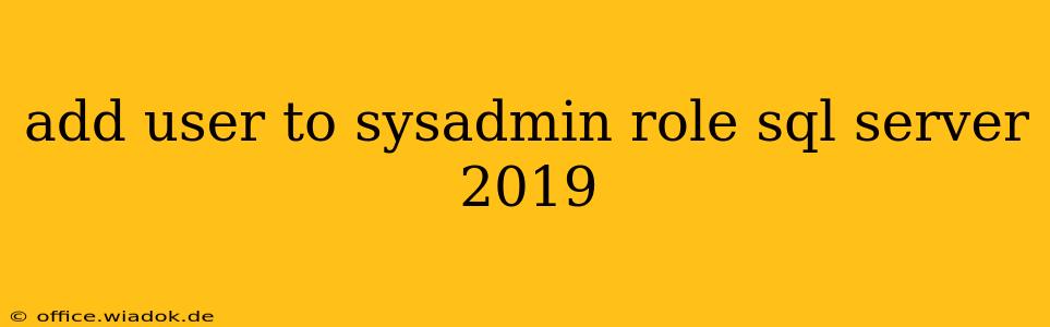 add user to sysadmin role sql server 2019