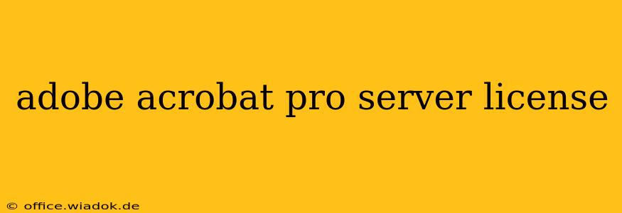 adobe acrobat pro server license