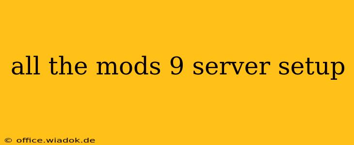 all the mods 9 server setup