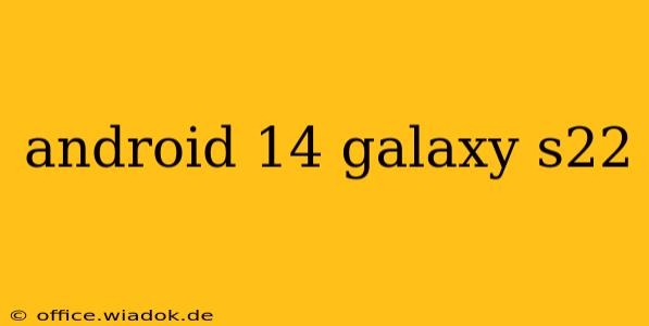 android 14 galaxy s22