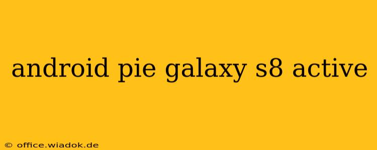 android pie galaxy s8 active