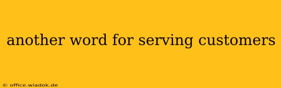 another word for serving customers