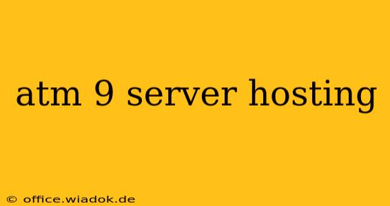 atm 9 server hosting