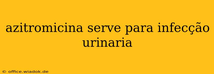 azitromicina serve para infecção urinaria