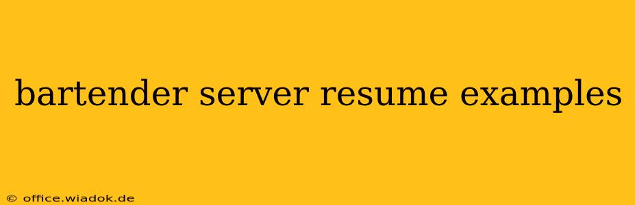 bartender server resume examples