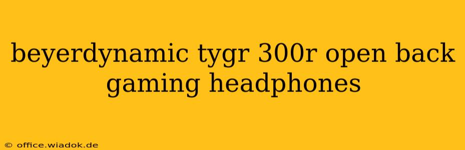 beyerdynamic tygr 300r open back gaming headphones