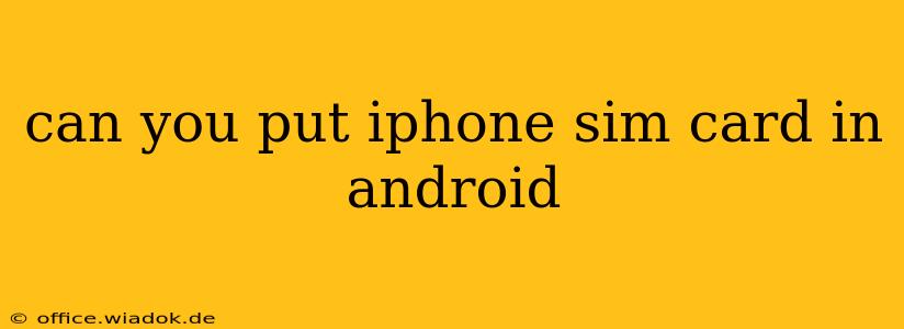 can you put iphone sim card in android