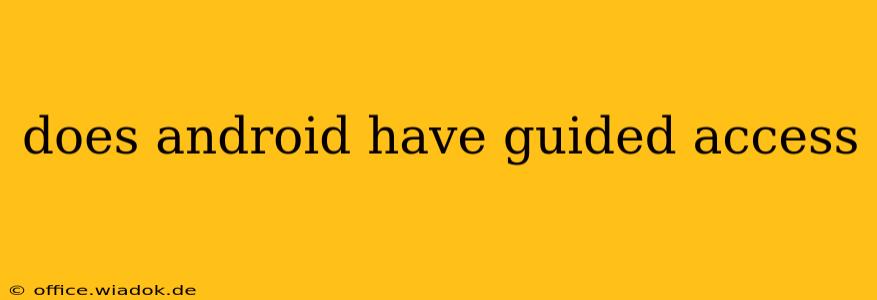 does android have guided access