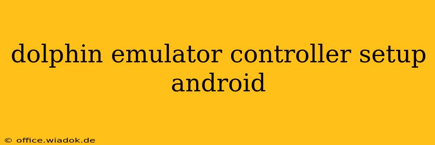 dolphin emulator controller setup android