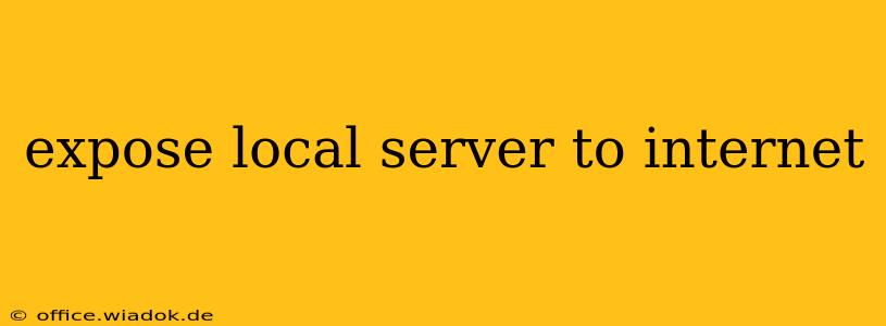 expose local server to internet