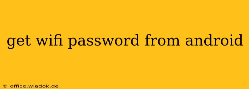 get wifi password from android