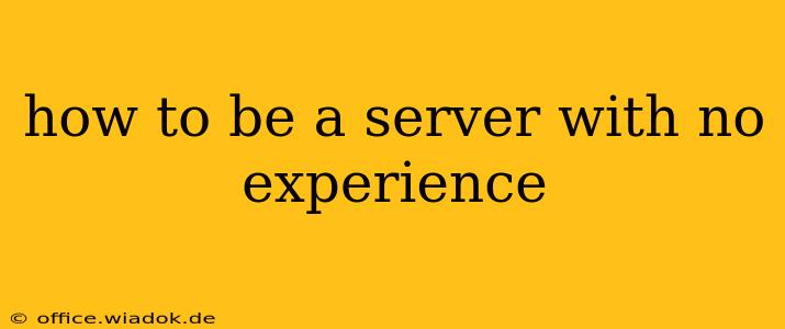 how to be a server with no experience