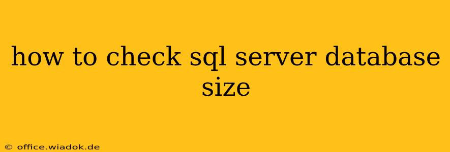 how to check sql server database size