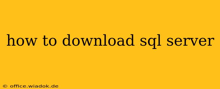 how to download sql server