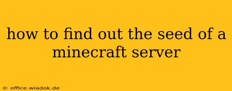 how to find out the seed of a minecraft server