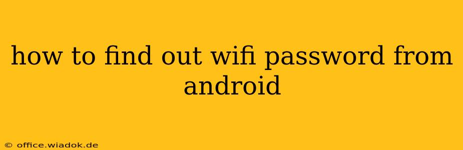 how to find out wifi password from android