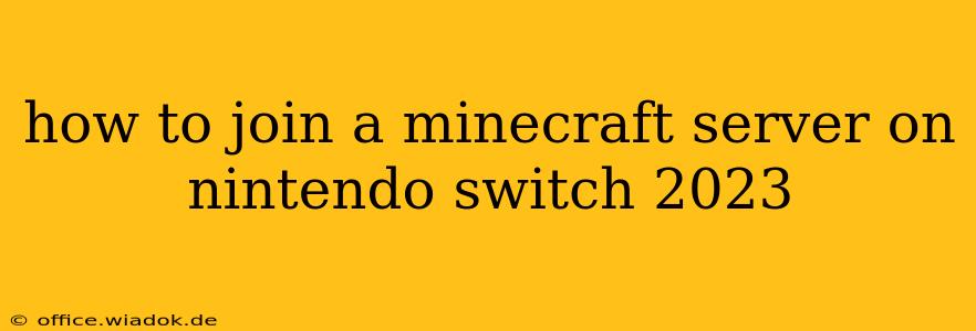 how to join a minecraft server on nintendo switch 2023