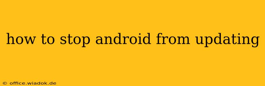 how to stop android from updating