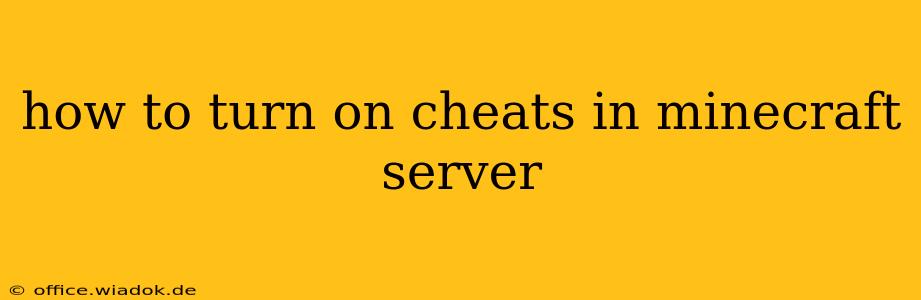 how to turn on cheats in minecraft server