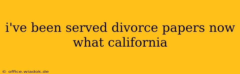 i've been served divorce papers now what california