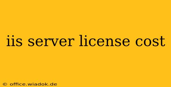 iis server license cost