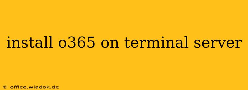 install o365 on terminal server