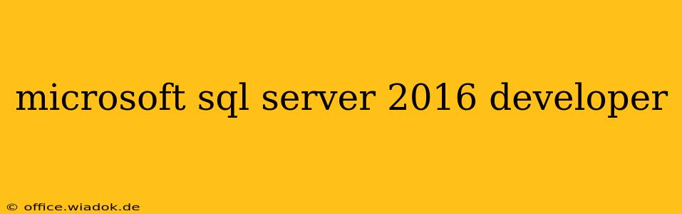 microsoft sql server 2016 developer