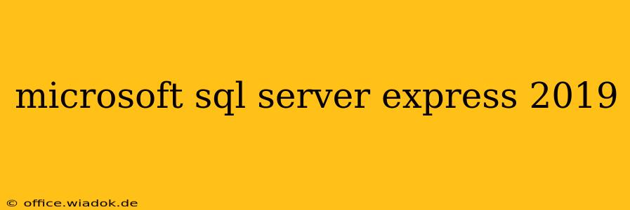 microsoft sql server express 2019