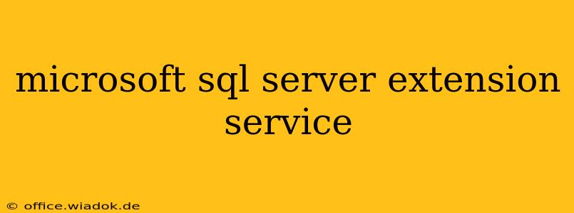 microsoft sql server extension service