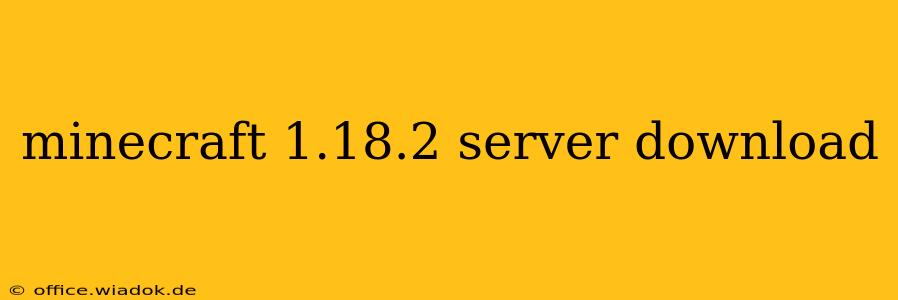 minecraft 1.18.2 server download