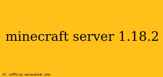 minecraft server 1.18.2