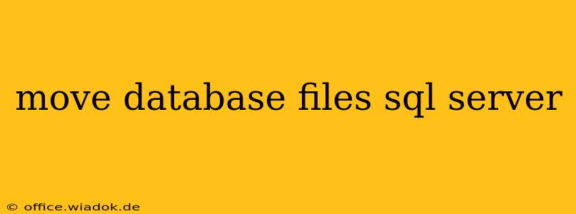 move database files sql server