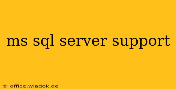 ms sql server support