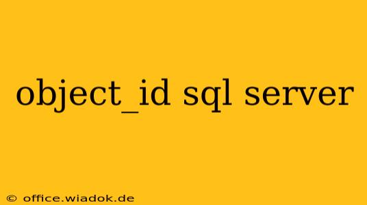 object_id sql server