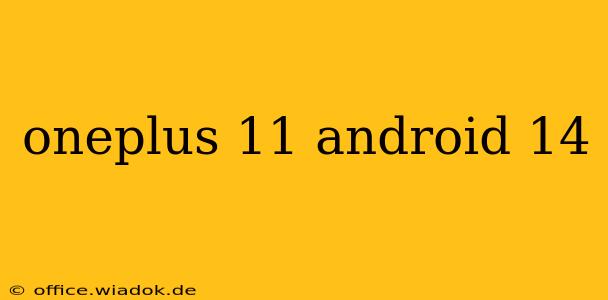 oneplus 11 android 14