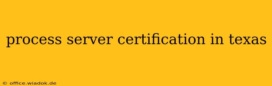 process server certification in texas