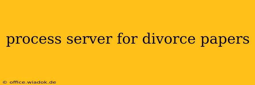 process server for divorce papers