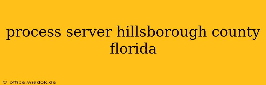 process server hillsborough county florida