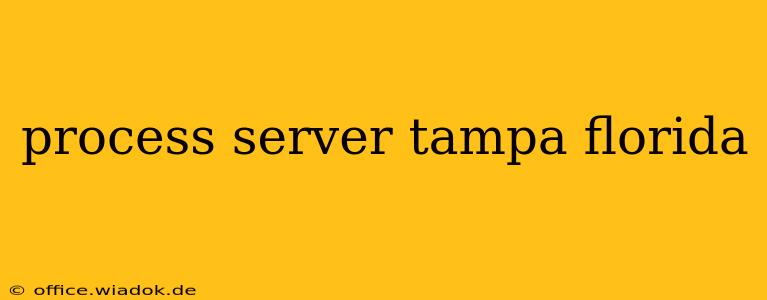 process server tampa florida