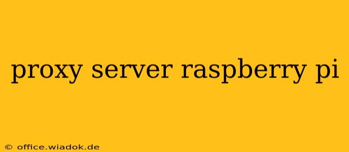 proxy server raspberry pi