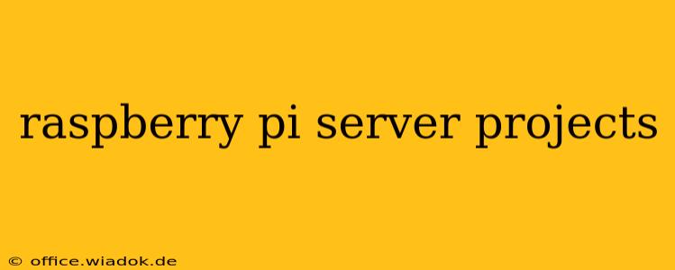 raspberry pi server projects