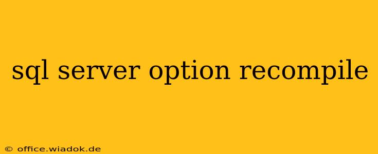 sql server option recompile