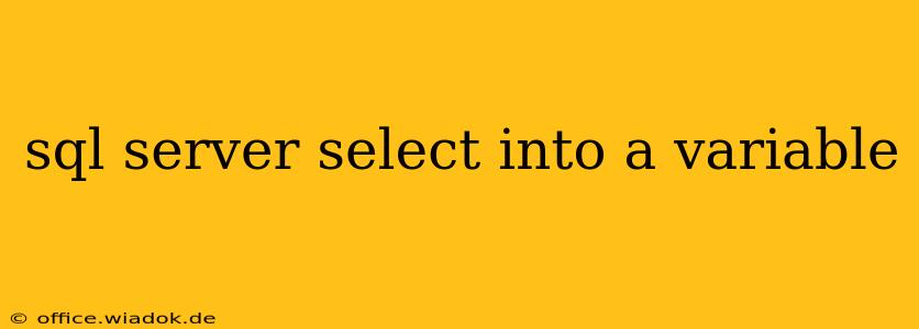 sql server select into a variable