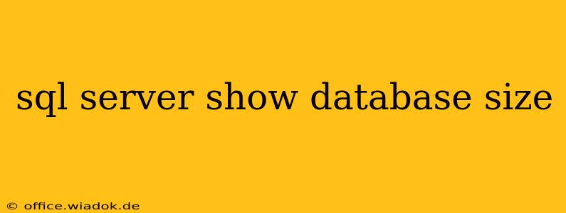 sql server show database size