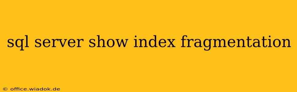 sql server show index fragmentation