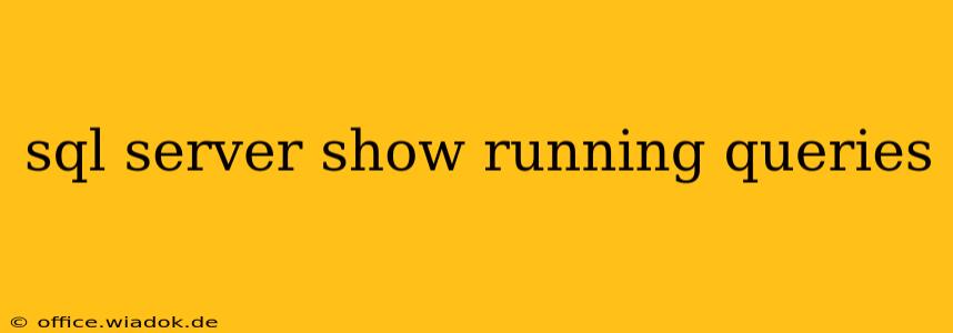 sql server show running queries