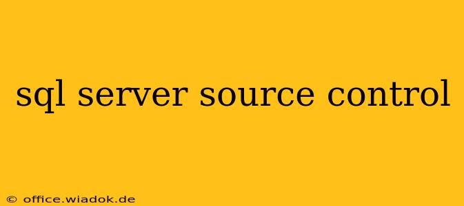 sql server source control