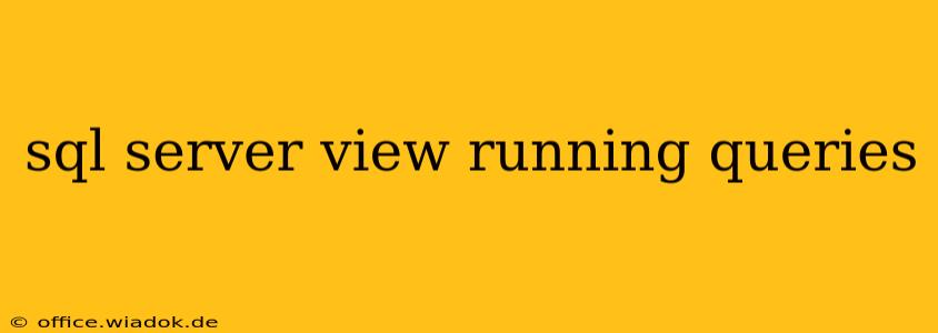 sql server view running queries