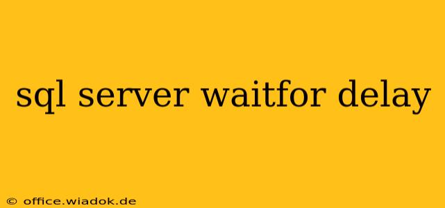 sql server waitfor delay